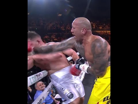 Nelson Asofa Solomona KOs Jarrod Wallace