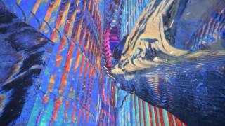 Matilde Davoli - Dust (Official Video)