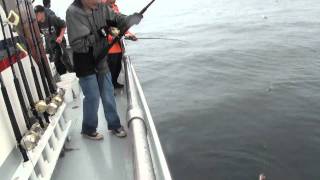 preview picture of video 'Silver Salmon (Coho) and Halibut Fishing in Seward Alaska - Saltwater Safari Company Charter'