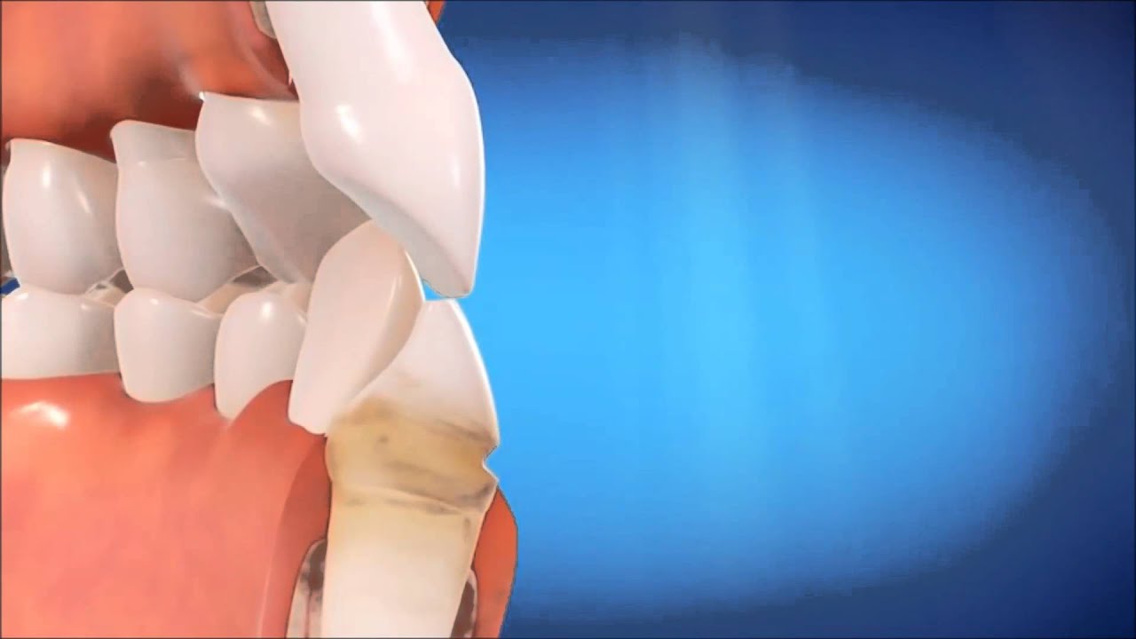 Anita Nogiri Makowiecky-5