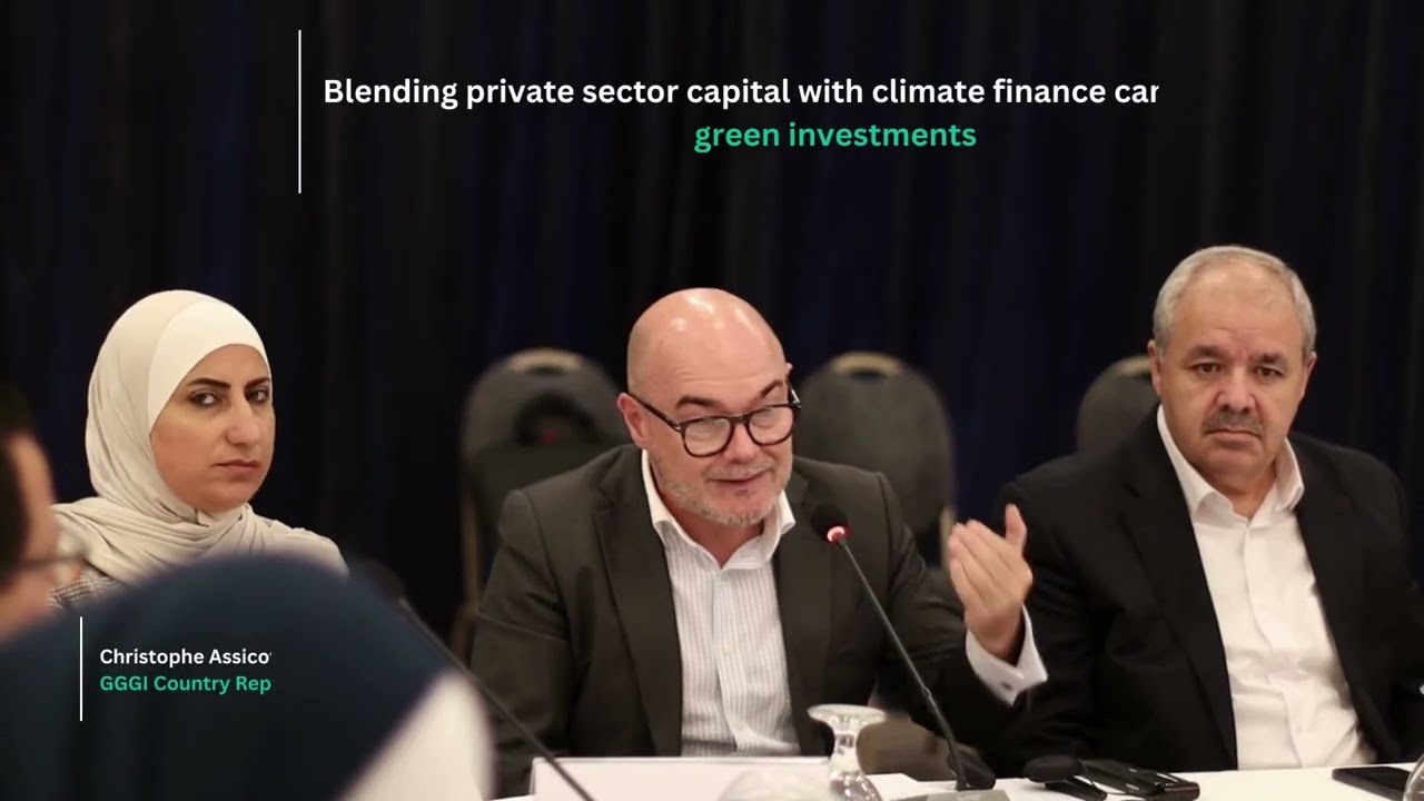 Public-Private Climate Finance Dialogue | Mobilizing Private Investment for Climate Action in Jordan