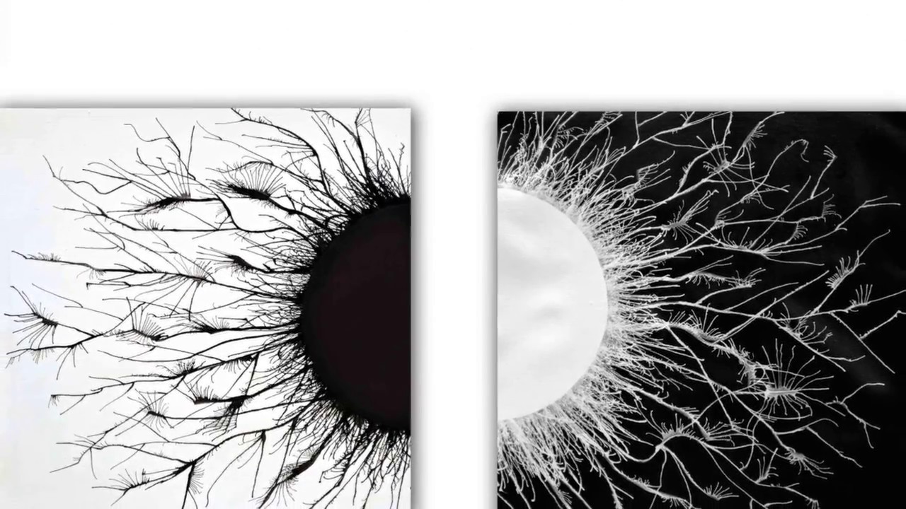 Anaximander in Five Minutes - The Pre-Socratic Philosophers