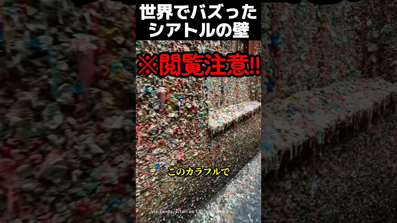 世界でバズったシアトルの壁