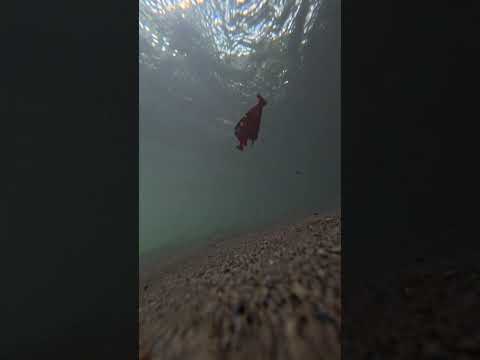 Fascinante Rio claro en #Doradal #puertotriunfo #antioquia #colombia #viajes #turismocolombia