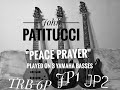 John Patitucci "Peace prayer" played on 3 Yamaha basses