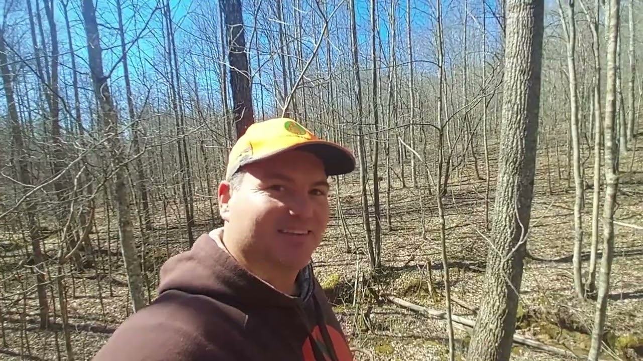 Hunting Lease Spotlight: Discovering Pristine Land in Pulaski County