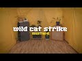 Wild Cat Strike - 'Mustard' (Official Music Video)