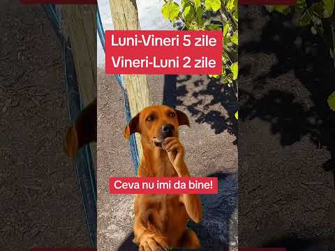 nu da bine calculele
