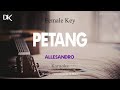 Petang - Allesandro (Female Key) Akustik Karaoke