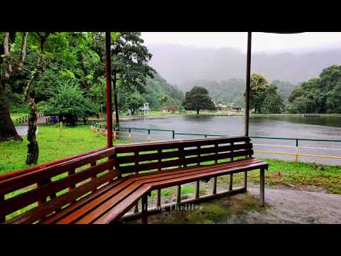 LOWER ROHINI PARK || KURSEONG || WEST BENGAL ||  @Ridingthriller | 2021