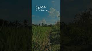 Download lagu dj bugis niga tau temma peddi mp3