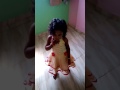 Chitiya Kalaya Ve