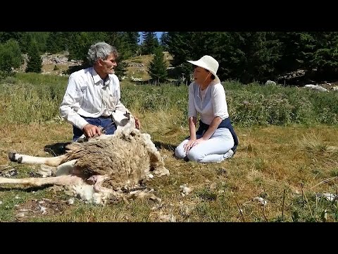 BJESHKA E MOKNËS - Reportazh