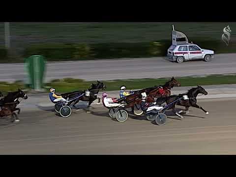 Aversa trotto 8 Gennaio 2022 - 5° Corsa