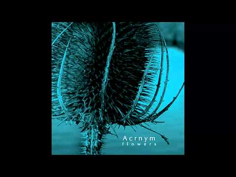 Acrnym - Kate Says 