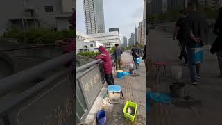 上海のとある橋の上で釣りしてる人たちが何か変なのが釣れたぞ！と叫んでるので撮ってみたら...