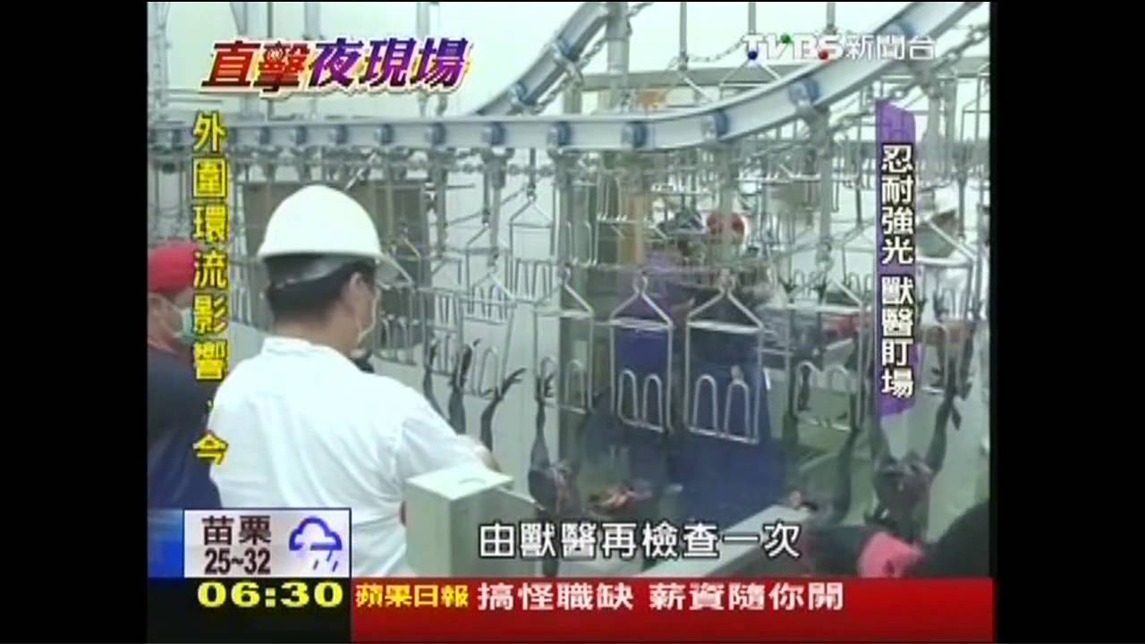 半夜電宰家禽 6小時趕供早市販售