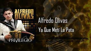 Alfredo Olivas - Ya Que Metí La Pata