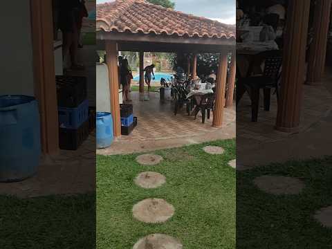 Final de semana na Fazenda Nossa Senhora Aparecida ( Guaranésia MG) #lugaresdeminas #fazenda #sitio