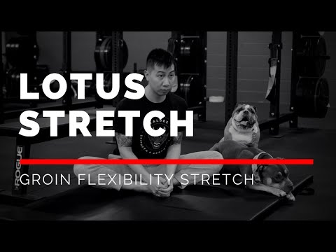 Lotus Stretch (EASY GROIN Stretching Exercise)