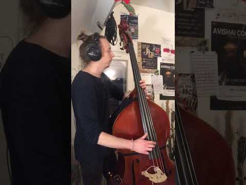 All of me - Django Reinhardt solo transcription (double bass)