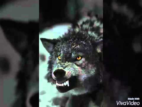 Maybe we're not Monsters