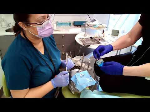 Endodontic Procedure Demo