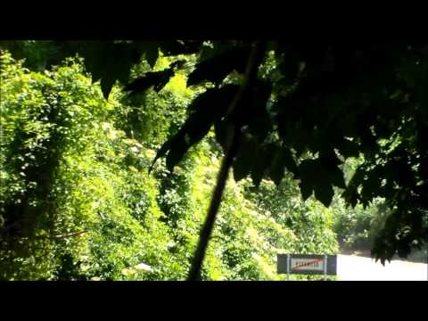 33° Rally Degli Abeti e Dell'Abetone 2015 R. Ferrari - S. Di Giulio Citroen Saxo S1600