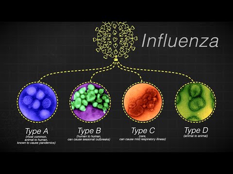 hogyan lehet lefogy az influenza)