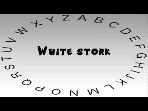 How to Say or Pronounce White stork
