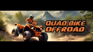 Quad Bike Offroad VR