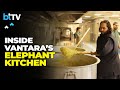 Exclusive Anant Ambani And Rahul Kanwal Take A Tour Of Vantara Kingdom Elephant Kitchen