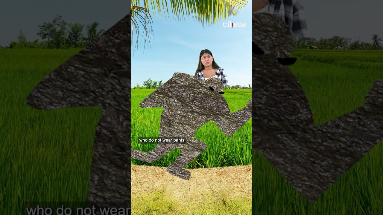 The Legend of Perak’s Bota giant