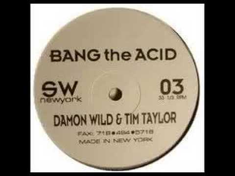 Damon Wild & Tim Taylor - Bang The Acid