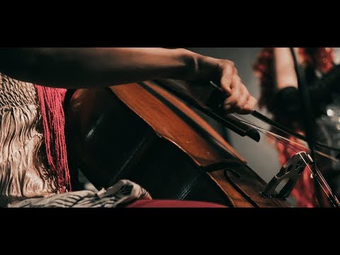 Alfred Ladylike & Friends at Deriva (teaser)