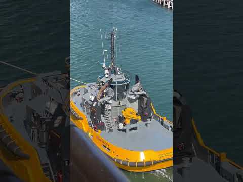 Thumbnail for 10/11/25 leaving Sydney carnival adventure