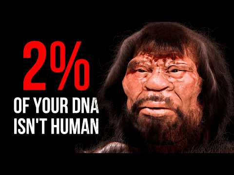 2 of Your DNA Doesn't Come From Humans