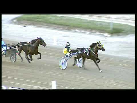 Trotto 04/10/2020 - 2ª prova di qualifica