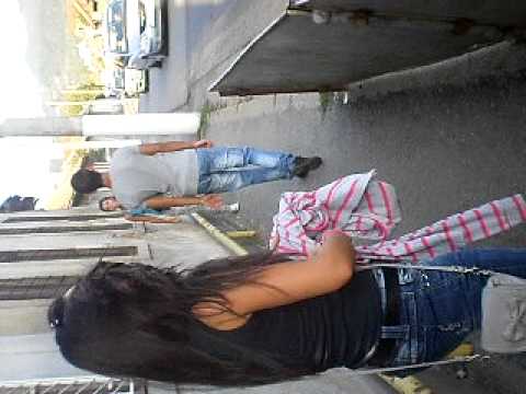 Bighidiile se bat=))