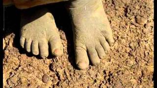 Filmato god bless the child.wmv