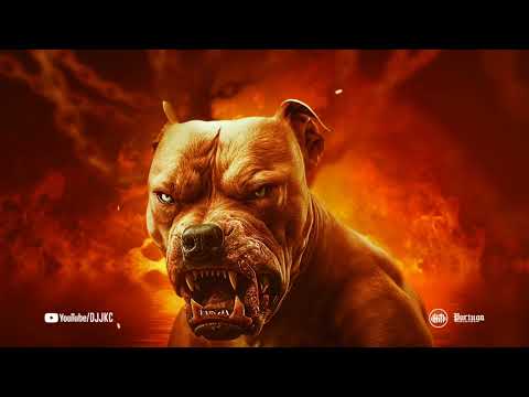 MC Menor PL MC FP Mohammed (Kit do Ano) DJ JKC