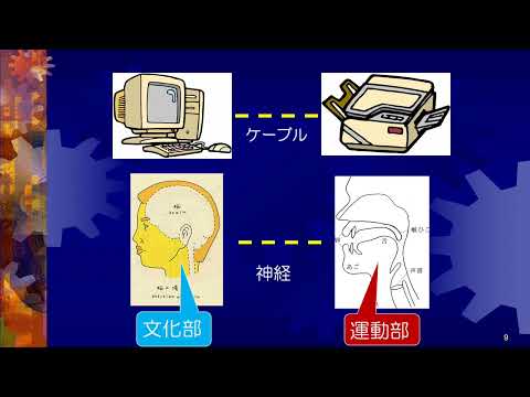 保健福祉学科 ことば・食べることの障害と言語聴覚士の仕事