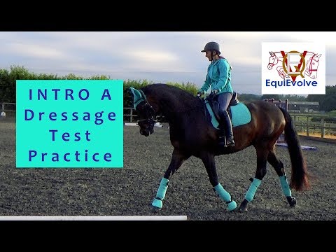 Intro A Dressage Test Learning Tool (2008)
