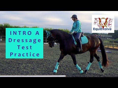 Intro 1 Dressage Test Learning Tool (2008) (Formally Intro A)