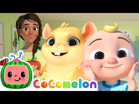 Class Pet Sleepover | CoComelon Animal Time | Animals for Kids