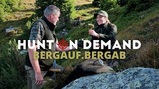 Bergauf. Bergab 🏔️ Bis zur ersten Gams von @Elisa