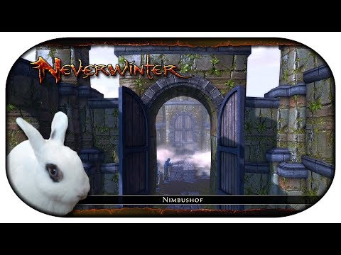 NEVERWINTER: Paladin-LP 🐇 109 - Nimbus 2000-Hof [mit Umfrage]