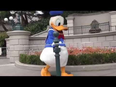 Funny donald duck Disneyland Paris