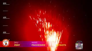 FRANKENMINE P5197 WINDA FIREWORKS 2022 NEW ITEMS