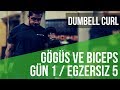 Komple Örnek Antrenman Programı | Seviye A1 | Gögüs / Biceps Günü | Hareket 5 - Biceps Dumbell Curl